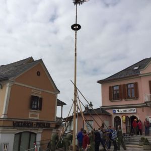 Maibaum 00