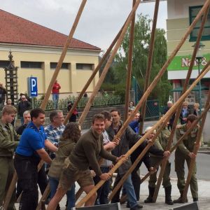 Maibaum 02