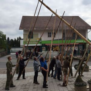 Maibaum 03