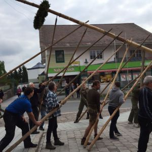 Maibaum 05