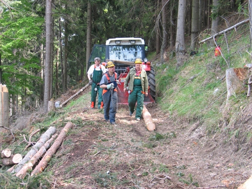 Motorsägenausbildung