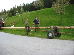 Maibaum abholen im Stergraben