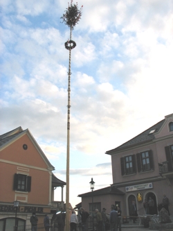 Maibaum aufstellen am Dorfplatz